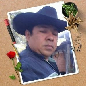 Meet your Posher, Ernesto